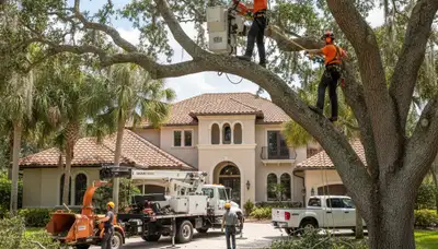 Cape Coral, FL tree service crew providing professional tree removal for local homeowners