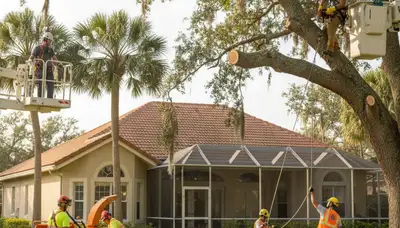 Tree service crew in Cape Coral, FL providing professional tree removal and trimming services