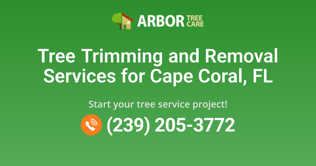 Arbor Tree Care